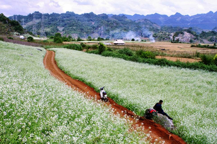 Phê duyệt Quy hoạch chung xây dựng Khu du lịch quốc gia Mộc Châu